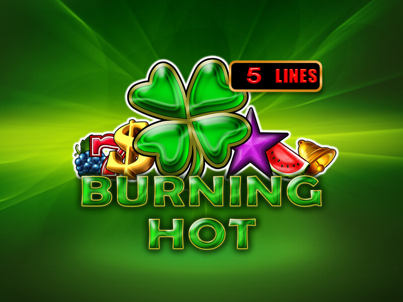 burning hot de logo